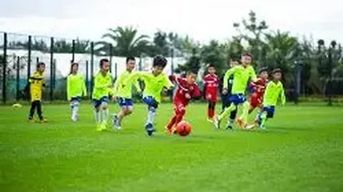 金贝娱乐 产品 074939 z2b