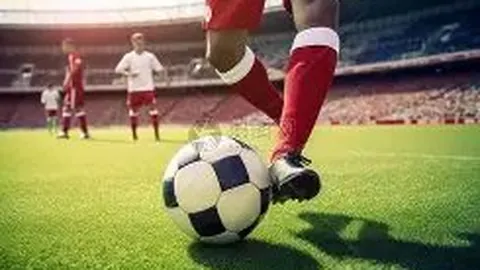 金贝娱乐 产品 135554 tl8