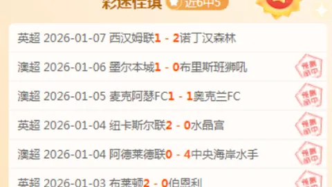 “2025年河北校园足球赛盛大开赛”